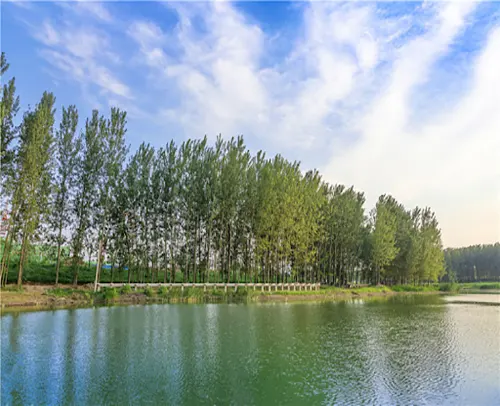 长葛市旅游资源深度开发评估报告（2025）